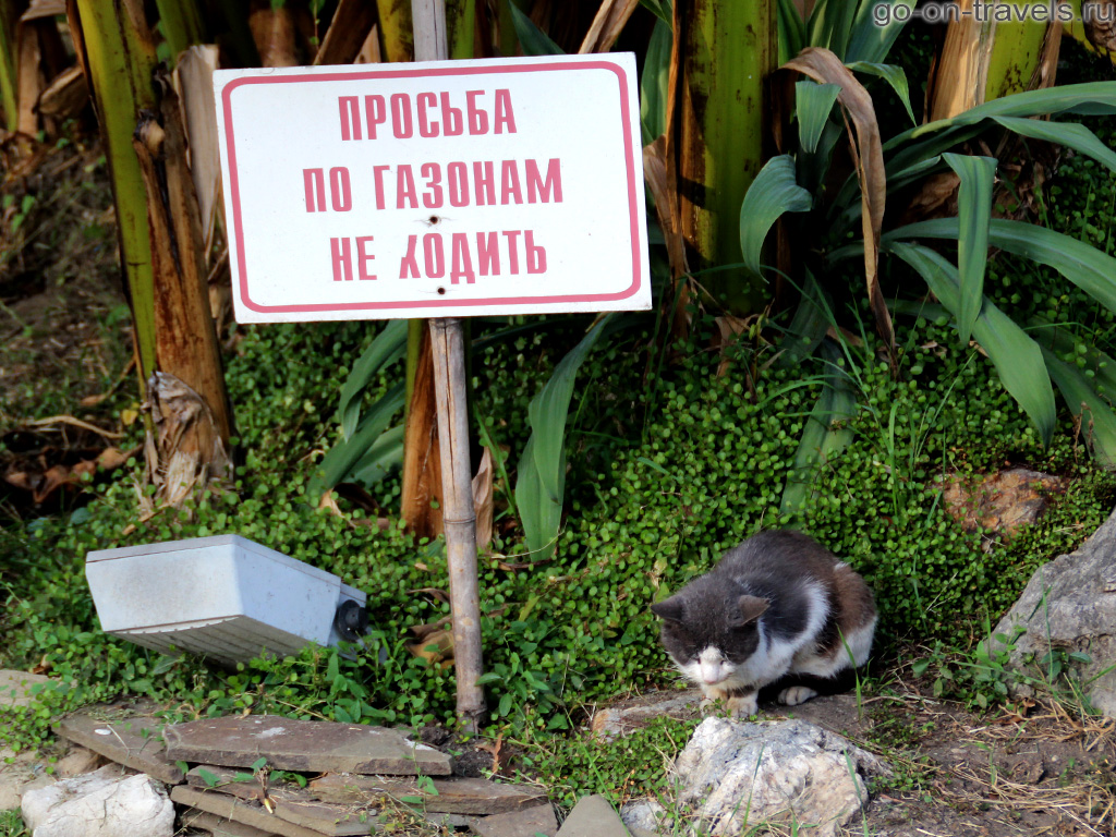 Фото достопримечательностей Сочи