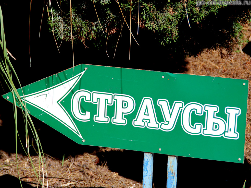 Фото достопримечательностей Сочи