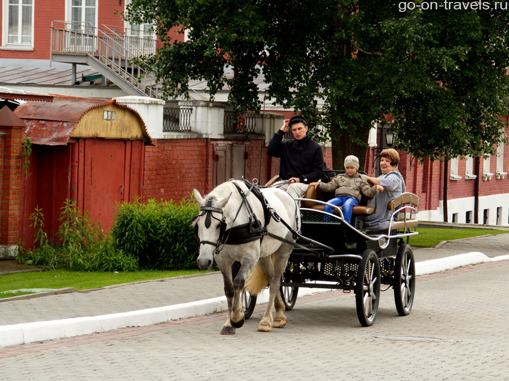 Фото достопримечательностей Коломны. Конная повозка